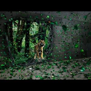 Meet your Posher, Danny